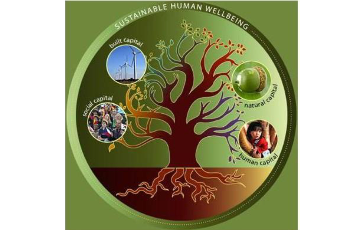 THE LIMITATIONS OF GDP<br />
GROWTH By Gayantha Dehiwatte